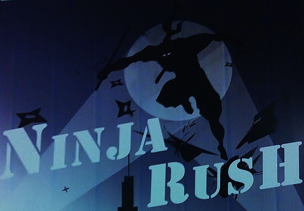ninja rush poster